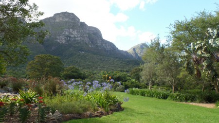 Kirstenbosh Gardens
